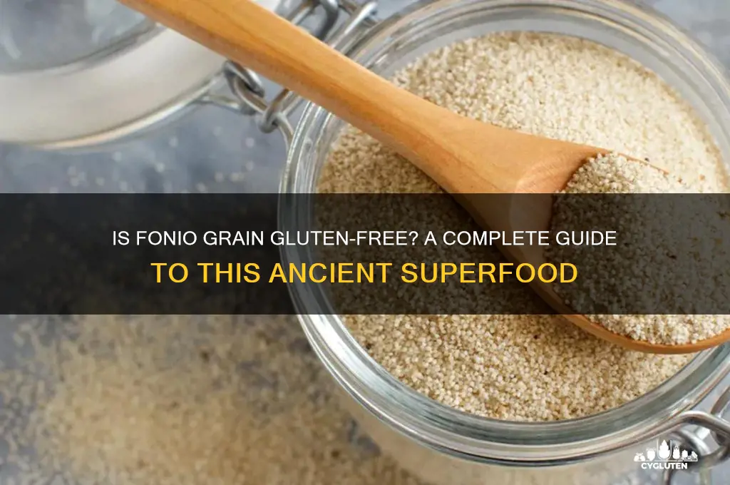is fonio grain gluten free