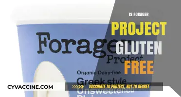 Is Forager Project Gluten-Free? A Comprehensive Guide to Their Products
