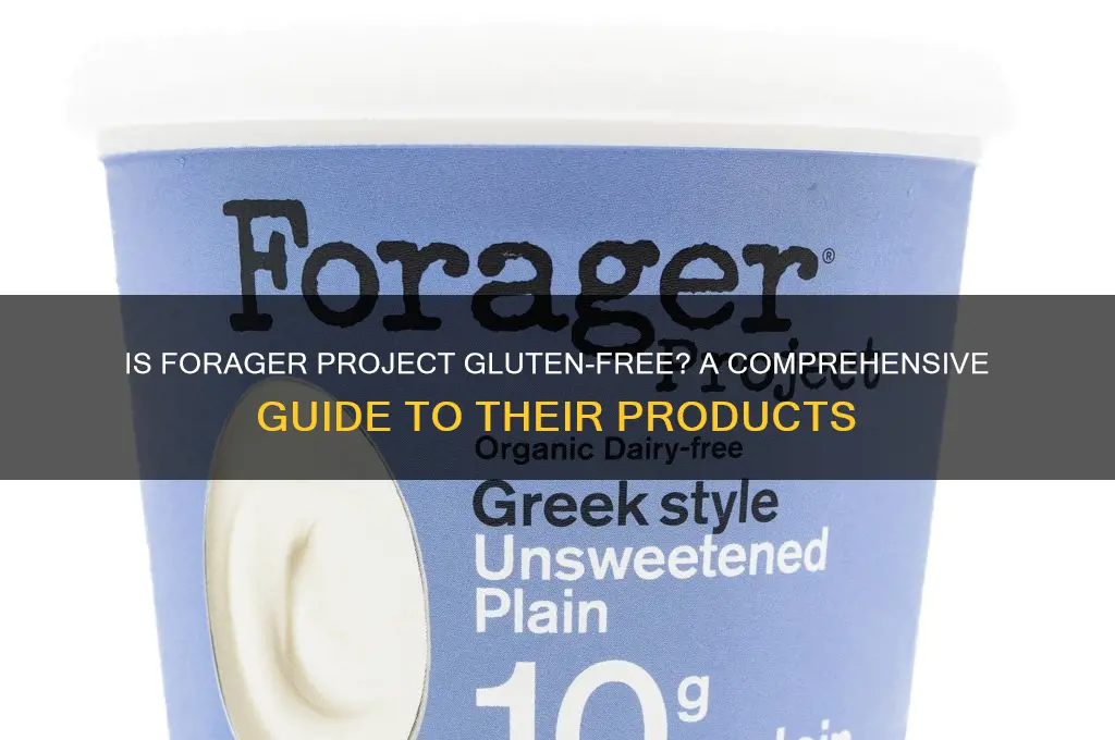 is forager project gluten free