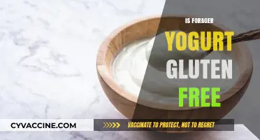 Is Forager Yogurt Gluten-Free? A Complete Guide for Dietary Needs