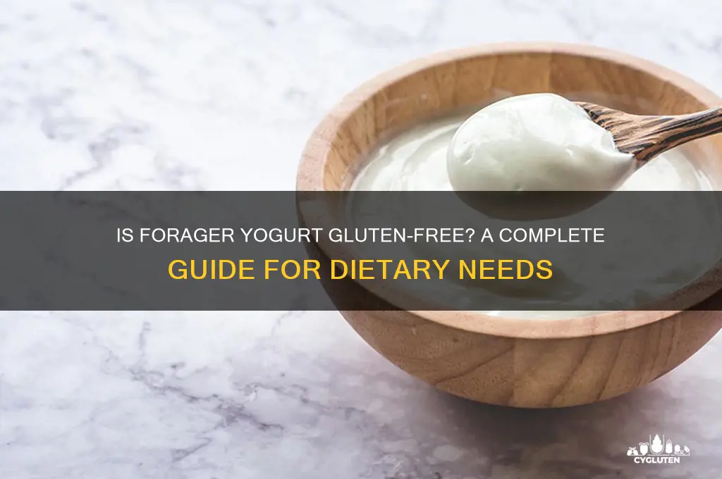 is forager yogurt gluten free
