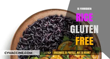 Is Forbidden Rice Gluten-Free? Unveiling the Truth for Celiac Diets