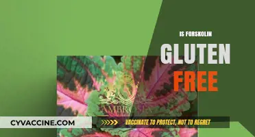 Is Forskolin Gluten-Free? A Comprehensive Guide to Dietary Safety