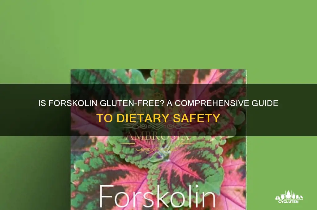 is forskolin gluten free
