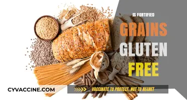 Are Fortified Grains Gluten-Free? Understanding Labels and Ingredients