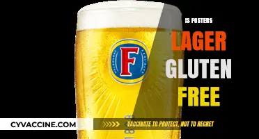 Is Foster's Lager Gluten-Free? A Complete Guide for Beer Lovers