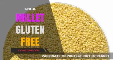 Is Foxtail Millet Gluten-Free? A Comprehensive Guide for Celiacs