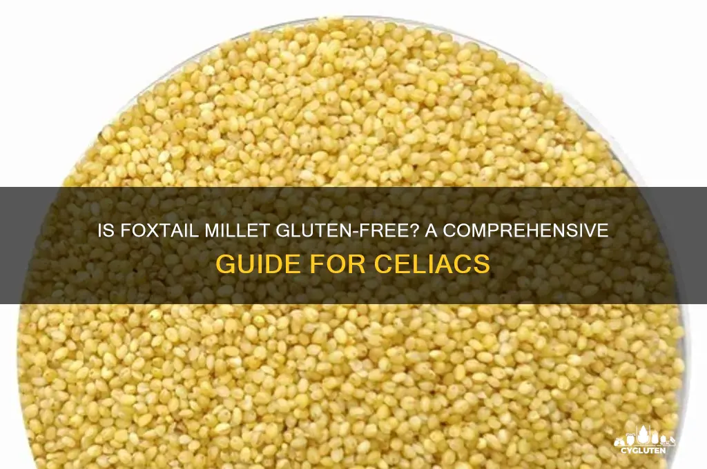 is foxtail millet gluten free