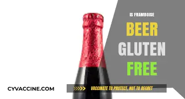 Is Framboise Beer Gluten-Free? A Guide for Celiac Drinkers