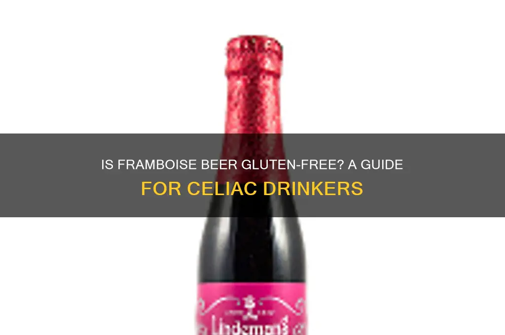 is framboise beer gluten free
