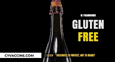 Is Framboise Gluten-Free? A Guide to Raspberry Beer Safety