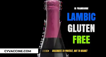 Is Framboise Lambic Gluten-Free? A Guide for Beer Lovers