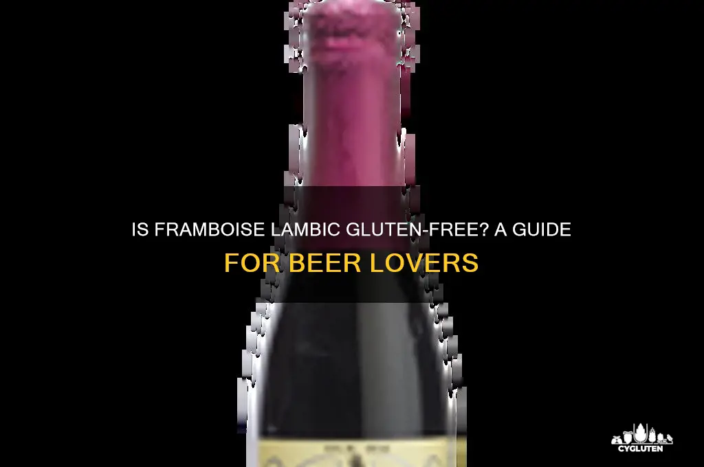 is framboise lambic gluten free
