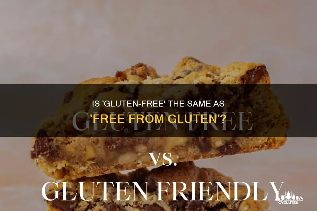 is free from gluten free