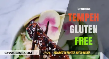 Is Freebirds Tempeh Gluten-Free? A Complete Guide for Diners