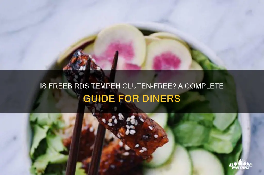 is freebirds tempeh gluten free