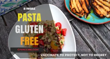 Is Fregola Pasta Gluten-Free? Unraveling the Truth for Celiac Diets