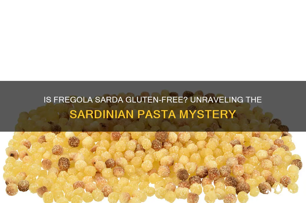 is fregola sarda gluten free