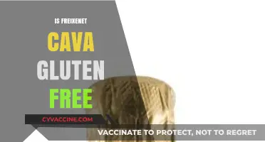 Is Freixenet Cava Gluten-Free? A Complete Guide for Wine Lovers