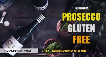 Is Freixenet Prosecco Gluten-Free? A Complete Guide for Wine Lovers