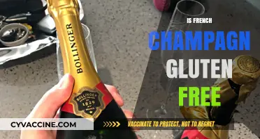 Is French Champagne Gluten-Free? A Guide for Celiac Sufferers