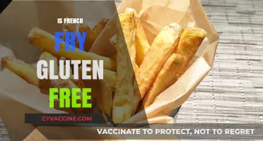 Are French Fries Gluten-Free? A Complete Guide for Celiac Sufferers