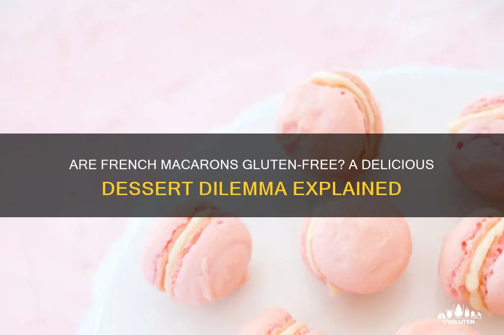 is french macaron gluten free