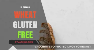 Is French Wheat Gluten-Free? Unraveling the Facts for Your Diet