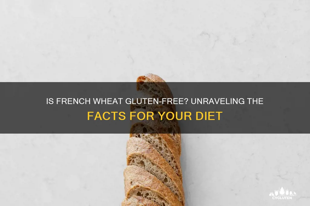 is french wheat gluten free