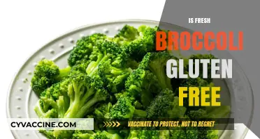 Is Fresh Broccoli Gluten-Free? A Clear and Simple Answer