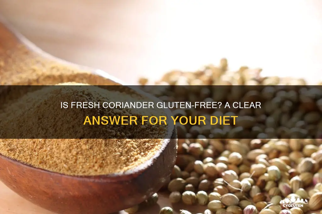 is fresh coriander gluten free