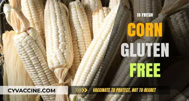 Is Fresh Corn Gluten-Free? A Clear Answer for Your Diet