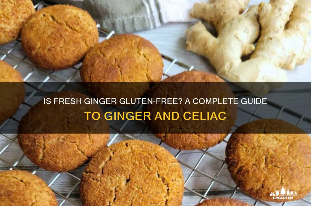 is fresh ginger gluten free