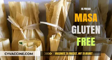 Is Fresh Masa Gluten Free? A Complete Guide for Celiacs
