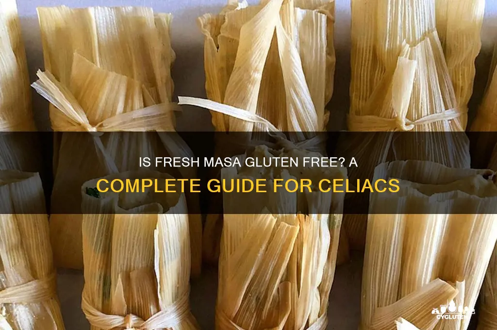is fresh masa gluten free