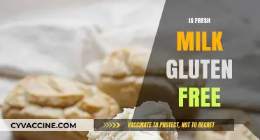 Is Fresh Milk Gluten-Free? Understanding Dairy and Gluten Concerns