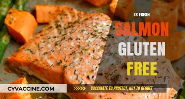 Is Fresh Salmon Gluten-Free? A Complete Guide for Celiac Diets