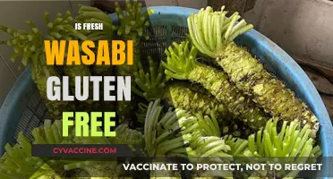 Is Fresh Wasabi Gluten-Free? A Complete Guide for Food Lovers