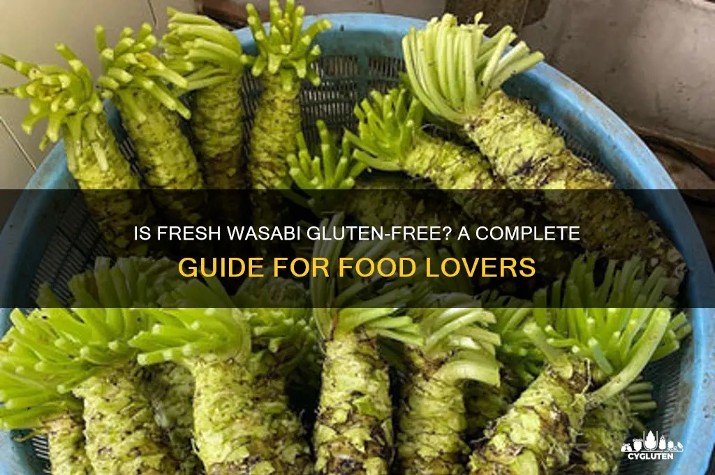 is fresh wasabi gluten free
