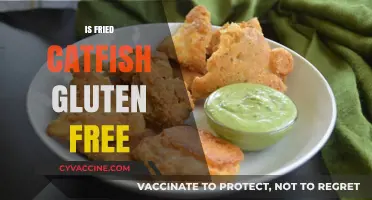 Is Fried Catfish Gluten-Free? A Complete Guide for Celiac Diets