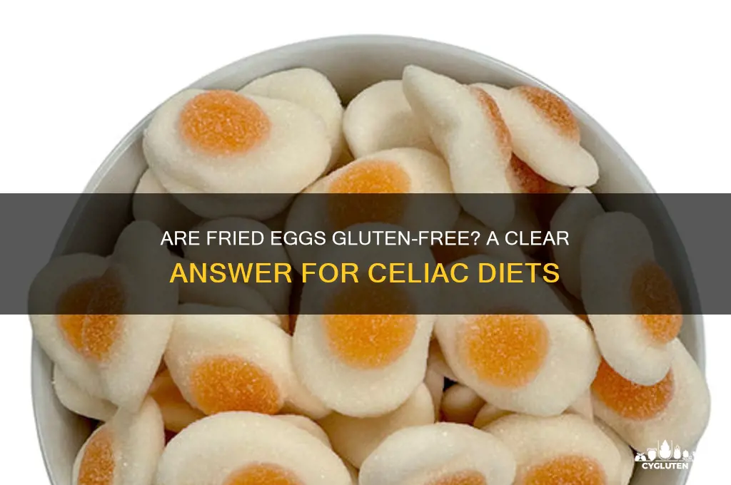 is fried egg gluten free