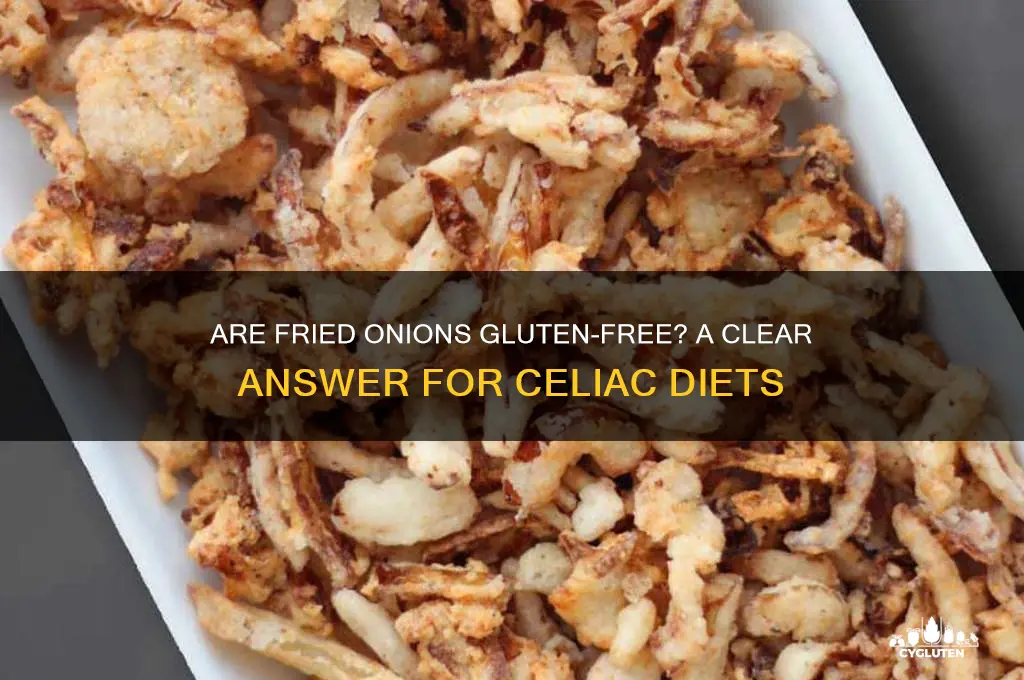 is fried onion gluten free