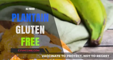 Is Fried Plantain Gluten-Free? A Tasty Snack Option Explored
