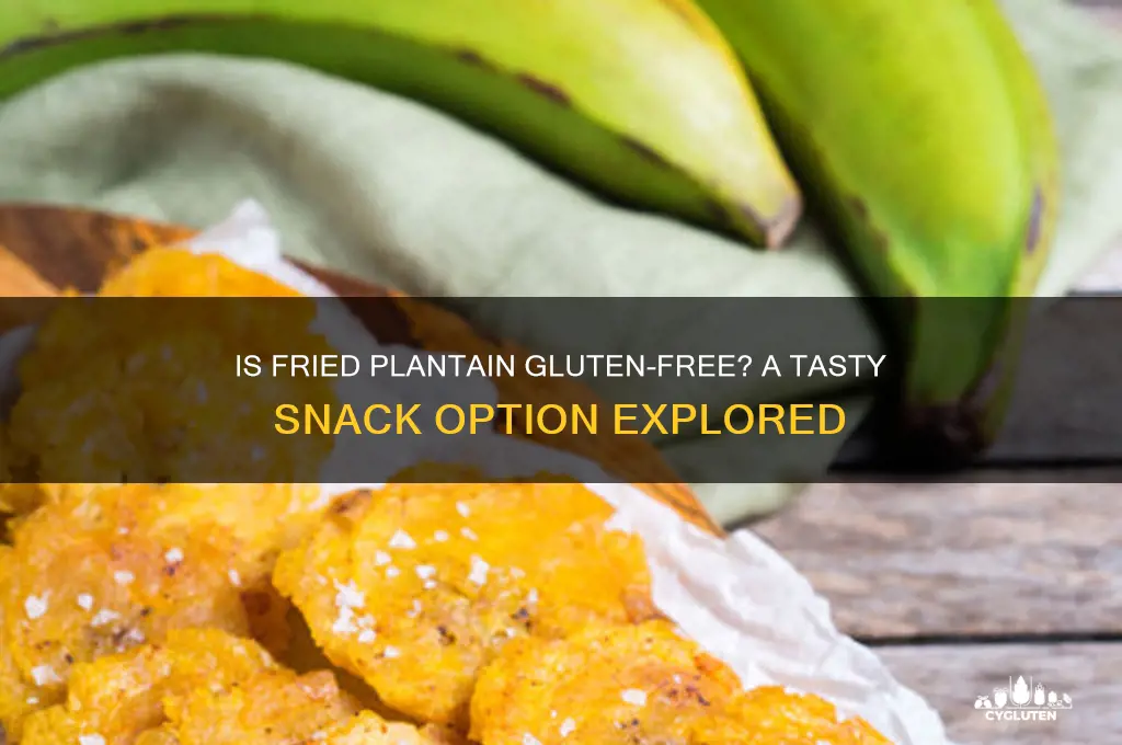 is fried plantain gluten free