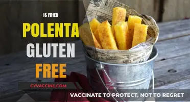 Is Fried Polenta Gluten-Free? A Complete Guide for Celiac Diets