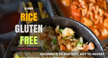 Is Fried Rice Gluten-Free? A Complete Guide to Safe Ingredients