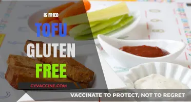 Is Fried Tofu Gluten-Free? A Complete Guide for Celiac Diets
