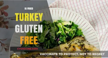 Is Fried Turkey Gluten-Free? A Complete Guide for Celiac Diners