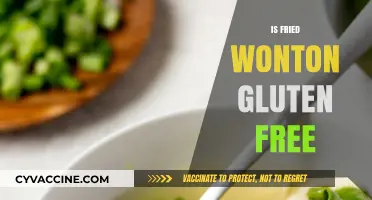 Can You Enjoy Fried Wonton if You're Gluten Free?
