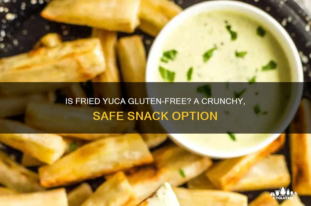 is fried yuca gluten free